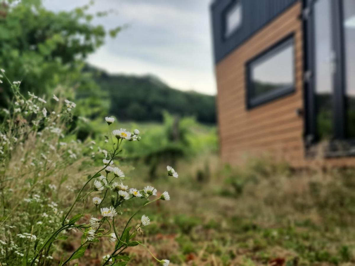 Апартаменты Pop Tiny House Balaton Kaptalantoti Экстерьер фото